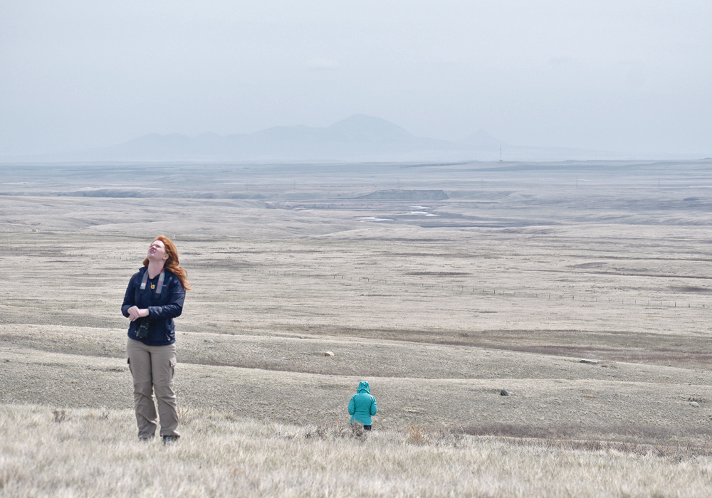 Kendra Forbes, education and outreach coordinator with the Milk River Watershed Council, listens for the call of a nearby Sprague’s pipit, one of Alberta’s endangered bird species, during a recent tour of the Milk River Watershed.  |  Barb Glen photo