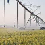 Little to no precipitation across southern Alberta in the past month, coupled with low water levels in reservoirs that feed two districts, have prompted the St. Mary River Irrigation District and the Lethbridge Northern Irrigation District to take a cautious approach to water allocation this year. | File photo
