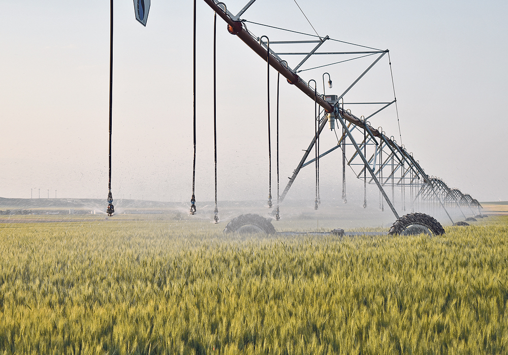 Little to no precipitation across southern Alberta in the past month, coupled with low water levels in reservoirs that feed two districts, have prompted the St. Mary River Irrigation District and the Lethbridge Northern Irrigation District to take a cautious approach to water allocation this year.  |  File photo