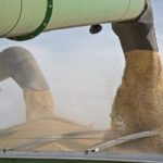 Tight old crop supplies may be keeping nearby barley bids underpinned in the Canadian Prairies, but expectations for increased acres in 2019 mean new crop bids are at a considerable discount. | File photo