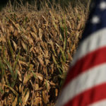 The top five commodities that received aid were soybeans, corn, wheat, cotton and sorghum while the top five states receiving the payments were Illinois, Iowa, Kansas, Nebraska and Indiana, the USDA spokesman said. | File photo