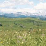 Prairie conservation easements have become more popular in recent years among ranchers as they make succession plans and seek to keep their properties intact. | File photo