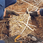 To simulate snowmelt runoff, researchers used slabs of soil with snow on top of them. The slabs were then removed from the field plots for analysis. | T. King photo
