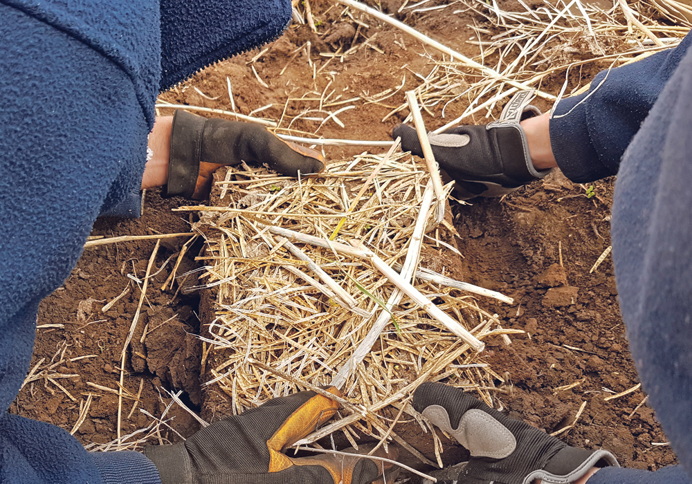 To simulate snowmelt runoff, researchers used slabs of soil with snow on top of them. The slabs were then removed from the field plots for analysis.  |  T. King photo