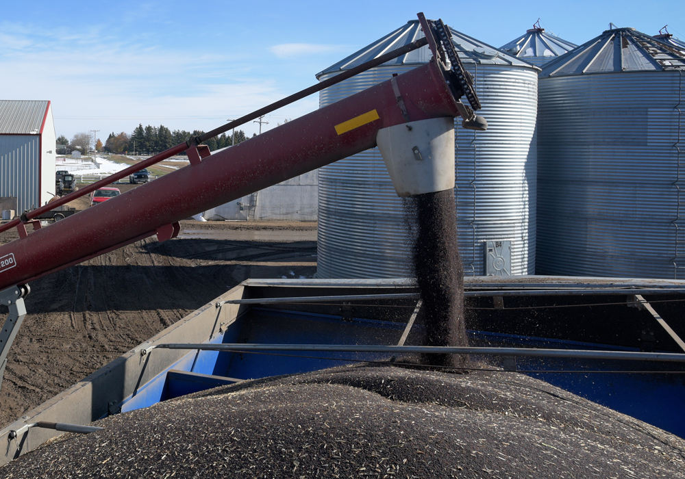 Glen Pownall literally laughed out loud when he heard of plans by a canola industry group and the federal government to add millions of tonnes of new demand through market development efforts.  | File photo