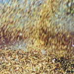 Canada exported 189,650 tonnes of canola to China in March, down from 407,770 tonnes in the same month last year. In the first three months of the calendar year, exports were 630,069 tonnes, down from 1.062 million tonnes in the same period last year. | File photo