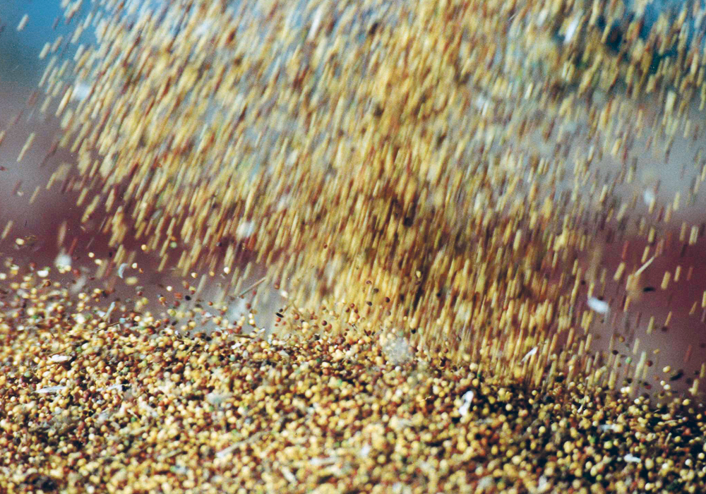 Canada exported 189,650 tonnes of canola to China in March, down from 407,770 tonnes in the same month last year. In the first three months of the calendar year, exports were 630,069 tonnes, down from 1.062 million tonnes in the same period last year.  |  File photo