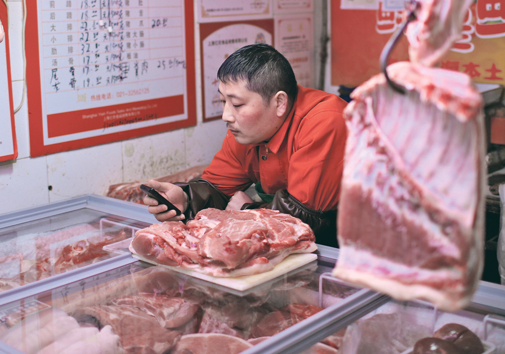 if farmers are designing their operations to be multi-decade factories to produce crops and animals for booming Chinese demand, they need to keep in mind that this booming demand might never appear.  |  REUTERS/Aly Song photo
