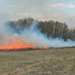 The fire near Biggar, Sask., is thought to have affected 39 landowners but directly impacted 10 to 15 livestock producers. | Cheryl Hare photo