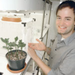 Paul Abram, a research scientist with Agriculture Canada, checks a lab colony of native stink bugs. | Agriculture Canada/Denis Lauzer photo