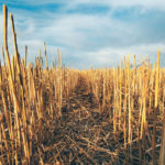 Senator Robert Black thinks a new Senate report on soil is possible, based on the interest shown from members of the agriculture committee. | File photo