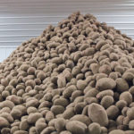The shortfall of potatoes for processing is most noticeable in Manitoba and P.E.I. | File photo