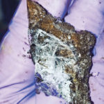 During the freeze-thaw cycle, small liquid water droplets have the effect of attracting other loose water droplets from the surrounding soil. As these ice crystal lenses steal water from adjacent soil, it dehydrates those soils, thus creating pores and air spaces in the soil. | Erin Rooney photo