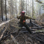 A firefighter extinguishes hot spots beside Highway 35 just south of the town of High Level May 25. Nearly 400 firefighters, 28 helicopters and eight air tankers continue to battle northwestern Alberta wildfires. | Government of Alberta/Chris Schwarz photo