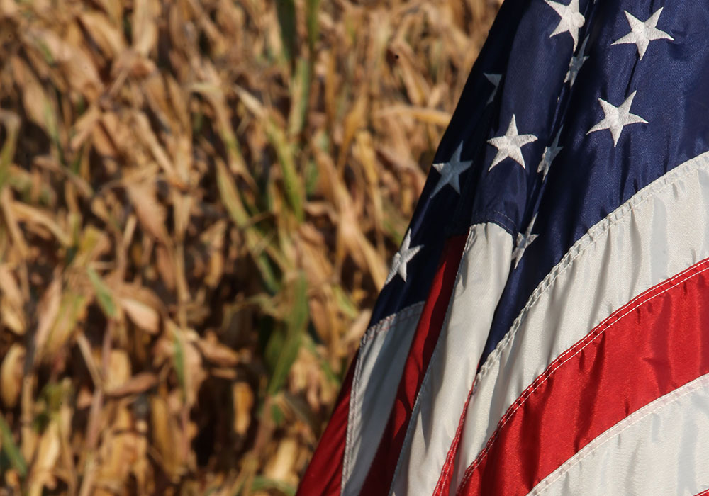 Markets rose under weather pressure, driven by U.S. unseeded acre potential.   |  Michael Raine photo