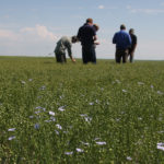 The Grain World Crop Tour is back for a second consecutive year in 2019. | File photo