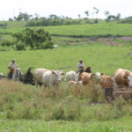 China, Brazil's largest beef importer by sales, spent $1.5 billion on Brazilian beef last year, totaling 322,400 tonnes or almost 20% of all shipments, according to local beef exporters association Abiec. | File photo