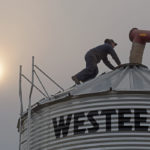 Summer is a dangerous time for grain in the bin, especially canola. And China’s recent rejection of Canadian canola imports seems likely to keep that canola binned up tight, where it’s at a high risk of heating.
| File photo