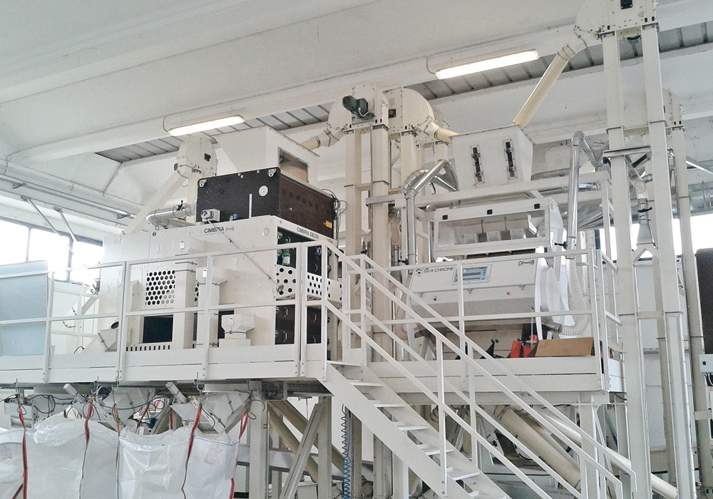 Conventional seed cleaning plants say efficiency of the overall facility improves by 10 percent with the additional of an optical sorter. The sorters are now used by organic growers wanting to remove weeds and chaff from grain and also by farmers with identity preserved contracts who want the best possible samples.  |  Nexseed photo