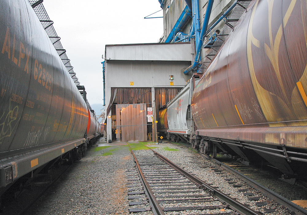 In a recent interview with The Western Producer, Joan Hardy, CP's vice-president of sales and marketing, grain and fertilizers, said CP is on pace to move more grain in the current crop year than ever before. | File photo
