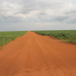 A spate of farmer defaults in Brazil's top grain-producing state, Mato Grosso, has created headaches for global traders who are among farmers' main creditors. | File photo