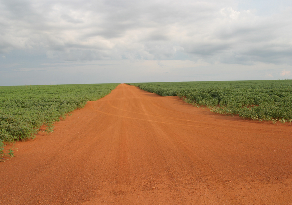 A spate of farmer defaults in Brazil's top grain-producing state, Mato Grosso, has created headaches for global traders who are among farmers' main creditors. | File photo