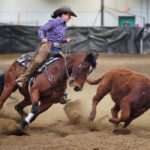 Horses can develop infections in the lungs, also known as pneumonia, which can compromise their athletic ability and may even be life threatening. | File photo