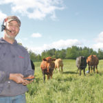 Cattle at Steve Sickle’s farm near St George, Ont., thrive in his rotational pasture system, where they are moved to fresh grass every day. This year heavy rain has produced lush amounts of grass that is growing faster than the cows can eat it. | Barbara Duckworth photo