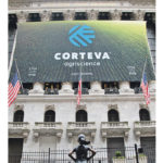 The bronze Fearless Girl keeps an eye on the new Corteva as it launches on the New York Stock Exchange. | Michael Raine photo