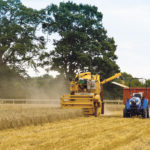 The Hands Free Farm in Great Britain is preparing to grow three different grains on 85 acres thanks to extra funding. These photos are from last year’s project. | Hands Free Hectare photo