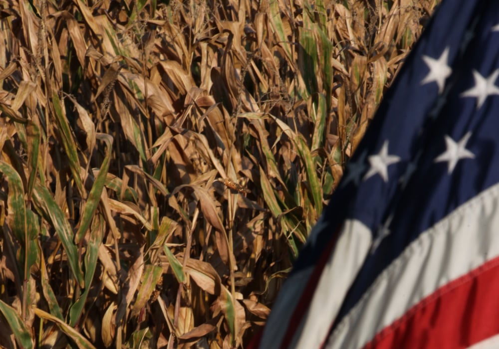 The meat market may not have yet realized how big the African swine fever impact will be in China, and the United States corn crop is treading deeper into trouble. | File photo