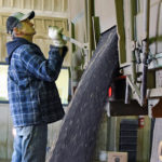 According to the CGC’s Grain Statistics Weekly report, producer canola deliveries to primary elevators and processors were slightly less than 15 million tonnes through the first 43 weeks of the 2018-19 crop year.
| File photo