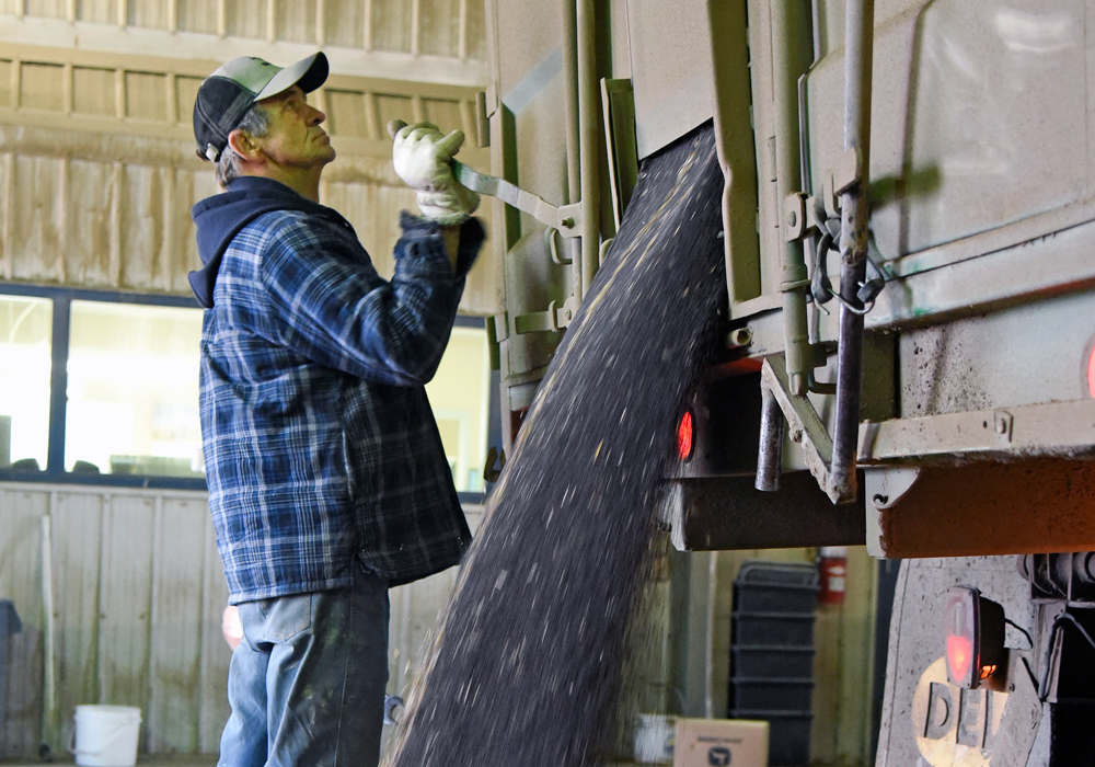According to the CGC’s Grain Statistics Weekly report, producer canola deliveries to primary elevators and processors were slightly less than 15 million tonnes through the first 43 weeks of the 2018-19 crop year.  | File photo