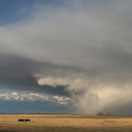 The rainfall was heaviest in the southwest and central regions of the province. For example, Boissevain, south of Brandon, received 40 millimetres June 15 and another 13 mm on Father's Day, based on Manitoba Agriculture weather data. | File photo