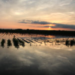 Corn and soybean futures at the Chicago Board of Trade may have run into some profit-taking resistance, but underlying concerns over wet fields and lost acres should keep the general uptrend in place heading through the summer. | File photo