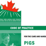 On March 6, 2014, the National Farm Animal Care Council (NFACC) released the Code of Practice for the Care and Handling of Pigs, known as the new pig code.
| Screencap via nfacc.ca