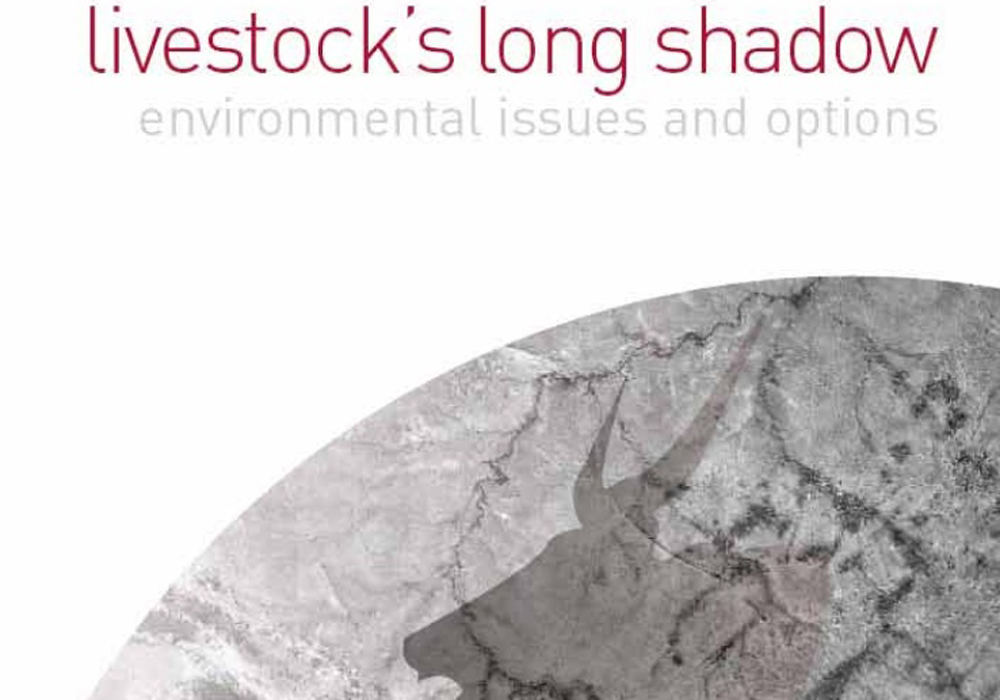 The flawed study, Livestock’s Long Shadow, continues to cast its own long shadow on the cattle industry more than a dozen years after it was published and subsequently debunked.  | Screencap via fao.org