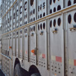 The most controversial part of the new regulations is the shortened times during which animals can be without food, water and rest before, during and after transport. | File photo