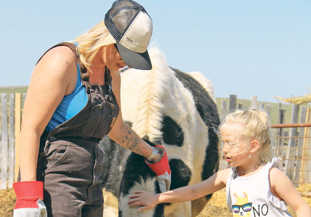 Sara Rissling and her daughter, Lily, offer some affection to the family farm’s pet cow. The Holstein is often the mother to the farm’s orphaned calves.  |  Christalee Froese photo