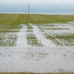 The research by assistant engineering professor Simon Papalexiou, in affiliation with the university’s Global Institute for Water Security, looked at weather stations all over the world in a 50-year period from 1964 to 2013. | File photo