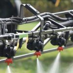 Growers who are uncertain about whether to apply in-crop herbicides under drought conditions should start by assessing the staging of the crop relative to weed development. | Michael Raine photo