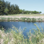 A $52 million endowment would fund the Growing Outcomes in Watersheds program to pay farmers for protecting and preserving fragile ecosystems such as wetlands. | Robert Arnason photo