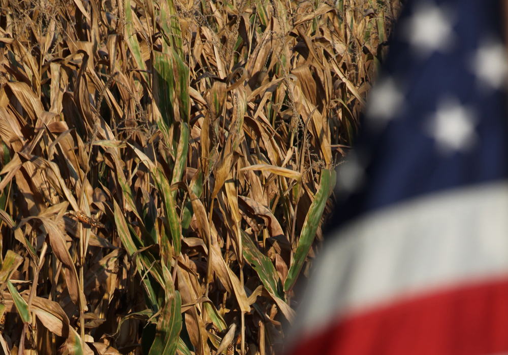 U.S. farmers planted more corn than expected despite heavy rains and flooding that market watchers had said kept farmers out of the fields for much of the spring, the U.S. government said on Friday. | File photo