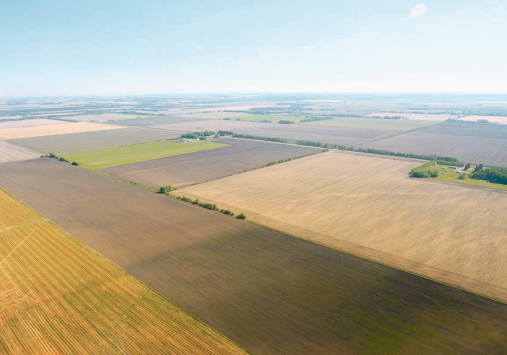 Those who personally own farmland and sell it must usually charge GST, but there are circumstances in which no GST needs to be charged or the seller is not responsible to collect and remit it to the government. | File photo