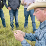 Grazing expert Jim Bauer examines the growth stage of various grasses during a June 25 event hosted at VXV Farms near Claresholm, Alta., organized by the Foothills Forage and Grazing Association. | Barb Glen photo