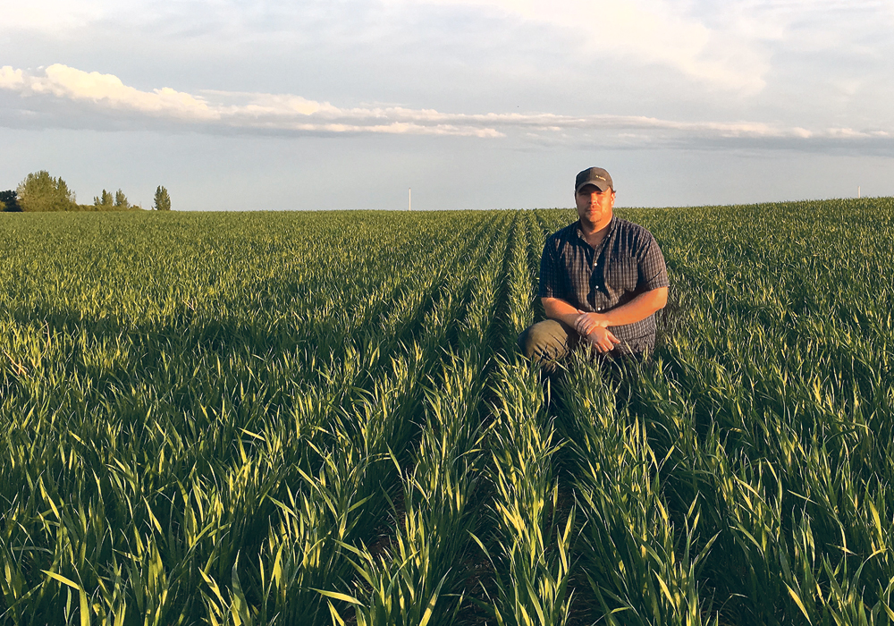 Skylar Anderson is growing 320 acres of Stronghold for seed this year.  |  Anderson Seed Growers photo