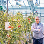 Molecular biologist James Giovannoni of the U.S. Department of Agriculture’s Plant, Soil and Nutrition Research Laboratory in Ithaca, New York, studies how fruit ripening is controlled genetically in tomatoes. | USDA photo