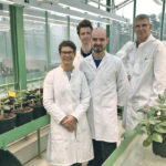 Sophia Sonnewald, left, Guenter Lehretz, José María Corral García and professor Uwe Sonnewald study plant growth in potatoes. | University of Erlangen-Nuremberg photo