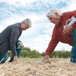 North Peace Applied Research Association manager Nora Paulovich and research co-ordinator Tom Fromme inspect crops on the research site. | Jeremy Simes photo