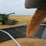 According to StatsCan’s Principal Field Crop Areas report released June 26, Canadian farmers planted an estimated 24.6 million acres of wheat in 2019, down 0.6 percent from 2018.
| File photo